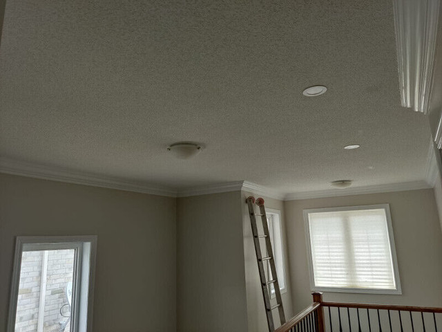 Dust Free Popcorn Ceiling   Removal   and Water Damage Repair in Drywall & Stucco Removal in Mississauga / Peel Region - Image 2