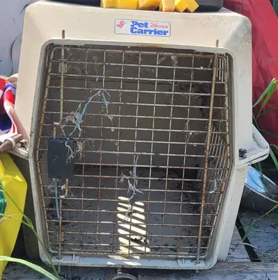Mid-size Pet Carrier. I deliver, View more