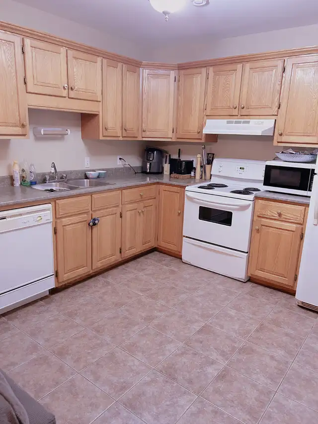 71 lowther, 2 Beds 1 Bath House in Long Term Rentals in Charlottetown - Image 9