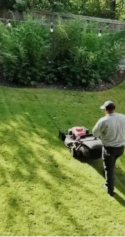 contact landscaping services 70% off 4375052622, View more