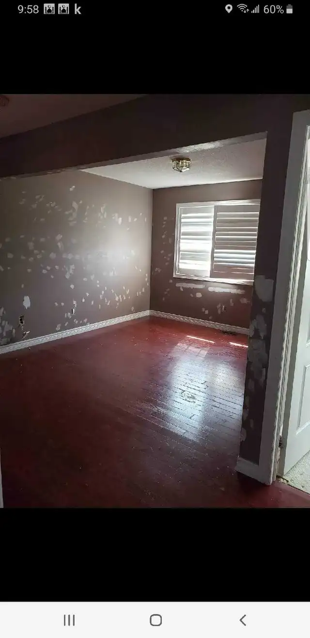 Painter Available 65561323552385123