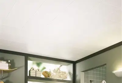 Details Total NEW tiles remaining: 24 Model Number 231 Color White Product Type Ceilings Installatio...