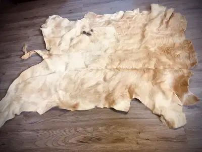 Tanned Cow Hide , View more