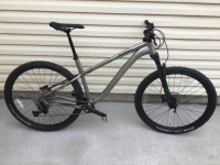 New Kona mountain bike X-Large frame