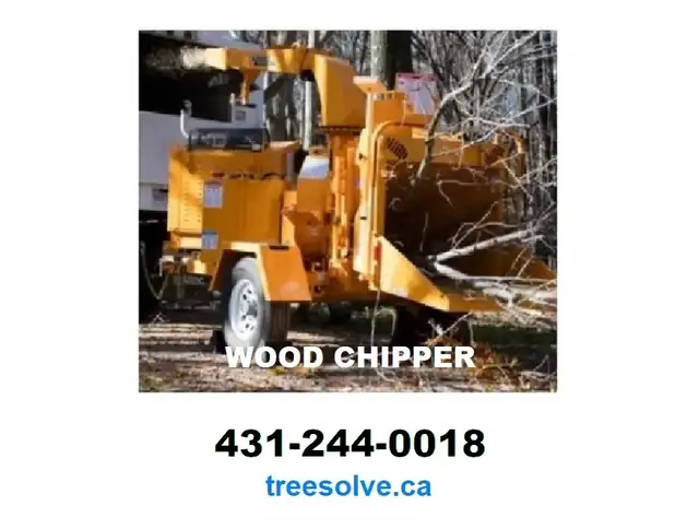 Tree Removal - Pruning - Disease Treatment | 431-244-001862863247569026123
