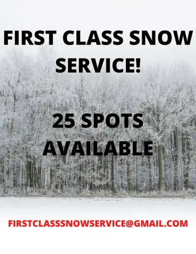 The Sidewalk Guys Snow Removal Services-ASAP SERVICE, View more