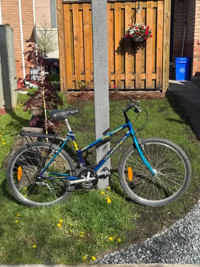 Raleigh Vintage MTB, View more