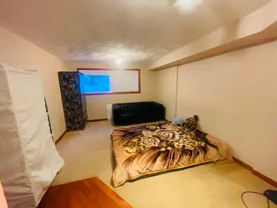 Walkout basement with two large spacious rooms with big windows and shared one washroom. Wifi, Laund...