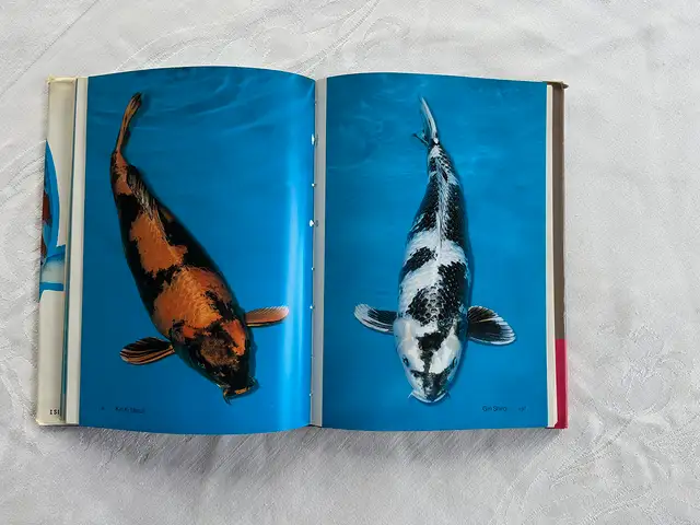 Modern Nishikigoi – Hardcover by Takeo Kuroki in Other in City of Toronto - Image 9