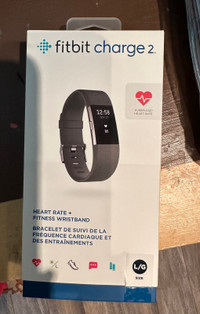 Fitbit Charge 2 with magnetic strap