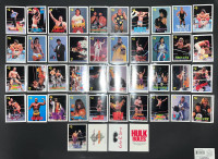 1990 Classic WWF Cards