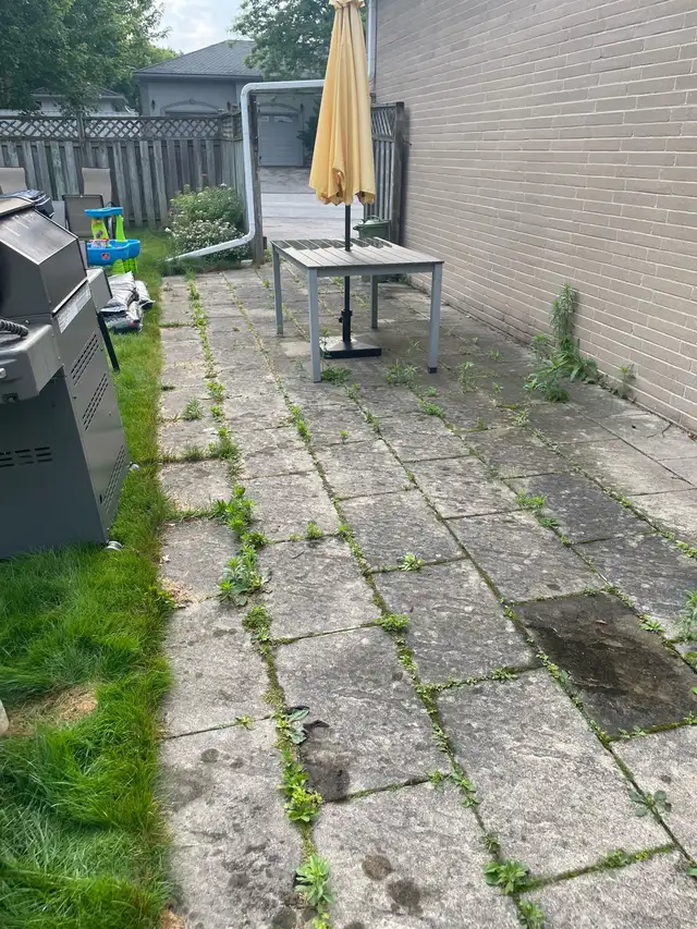 backyard cleaning, power wash, tree cut landscaping 62863723965185121