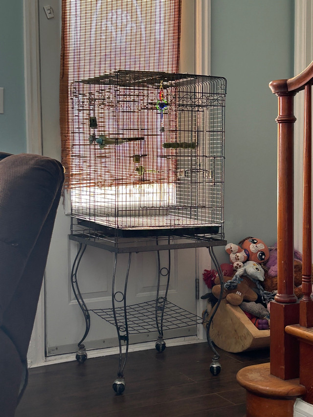 Bird cage  in Accessories in Sudbury