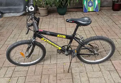 20" Rave Triumph Boy's 6 Speed Mountain Bike, View more
