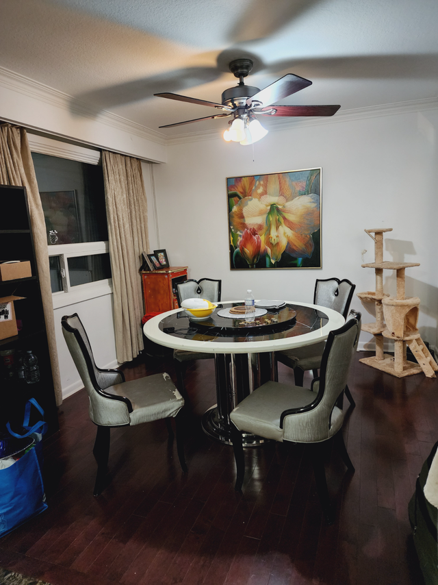Main Floor Private Room for Rent - Yonge and Finch in Room Rentals & Roommates in City of Toronto - Image 5