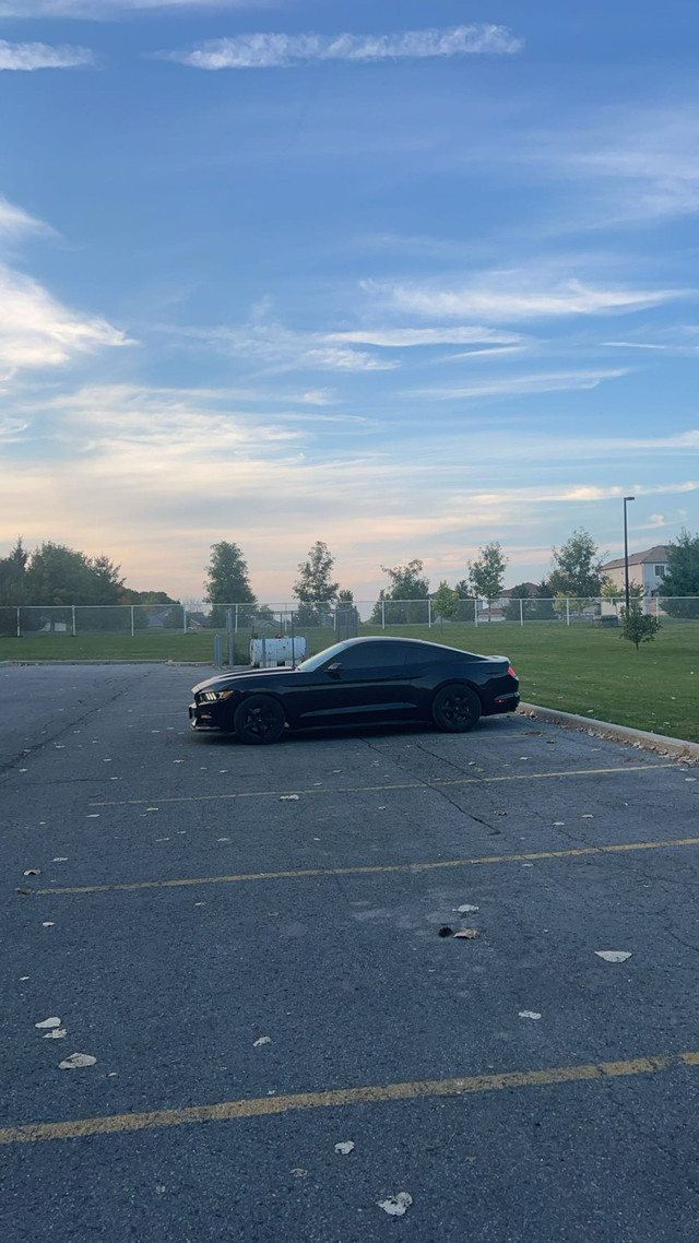 2015 Ford Mustang in Cars & Trucks in Napanee - Image 2