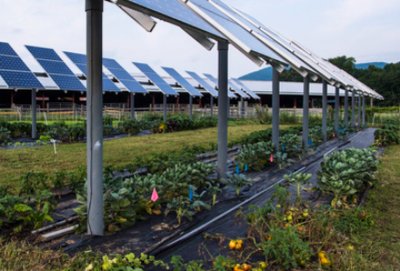 -Agrovoltaics: The Future of Farming with Built-In Solar Energy, View more