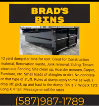 12 yards bins for Rent!  Brads Bins