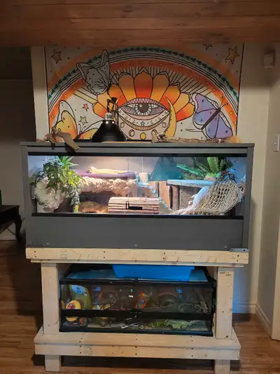 Terrarium 48 pouces New Age Living Ecoflex Mojave pour reptile., View more