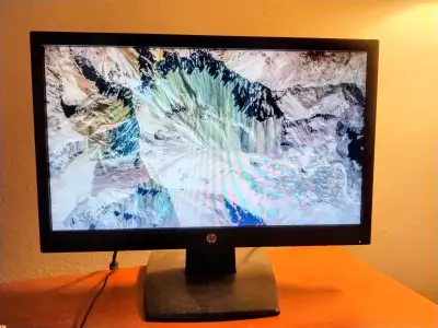 HP V194 18.5 inch Monitor, View more