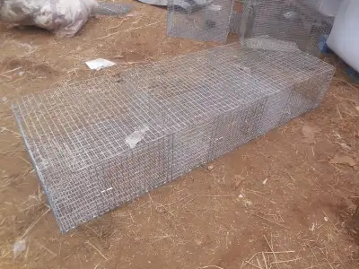 Three wire rabbit cages, View more