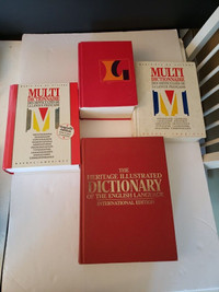 Lot de dictionnaire anglais français 