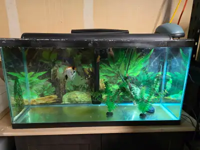 30 GALLON FISH TANK/AQUARIUM, View more