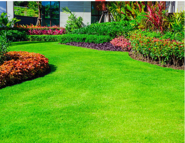  Lawn Mowing & Yard Care  in Cleaning & Housekeeping in City of Toronto