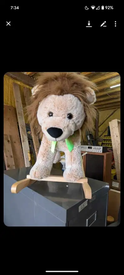 Lion Rocker, View more
