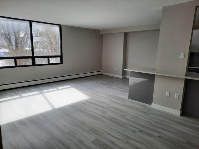 Renovated apartment -Lease transfer  in Long Term Rentals in City of Halifax