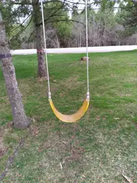 Swing and Acrobatic Hand Swing