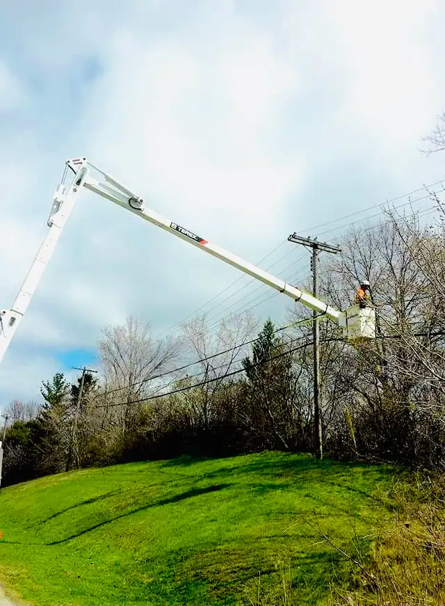 Tree Removal | Pruning | Fully Insured | (416) 206-1460 in Lawn, Tree Maintenance & Eavestrough in City of Toronto - Image 6