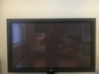Television/moniteur 42 pouces HD Plasma