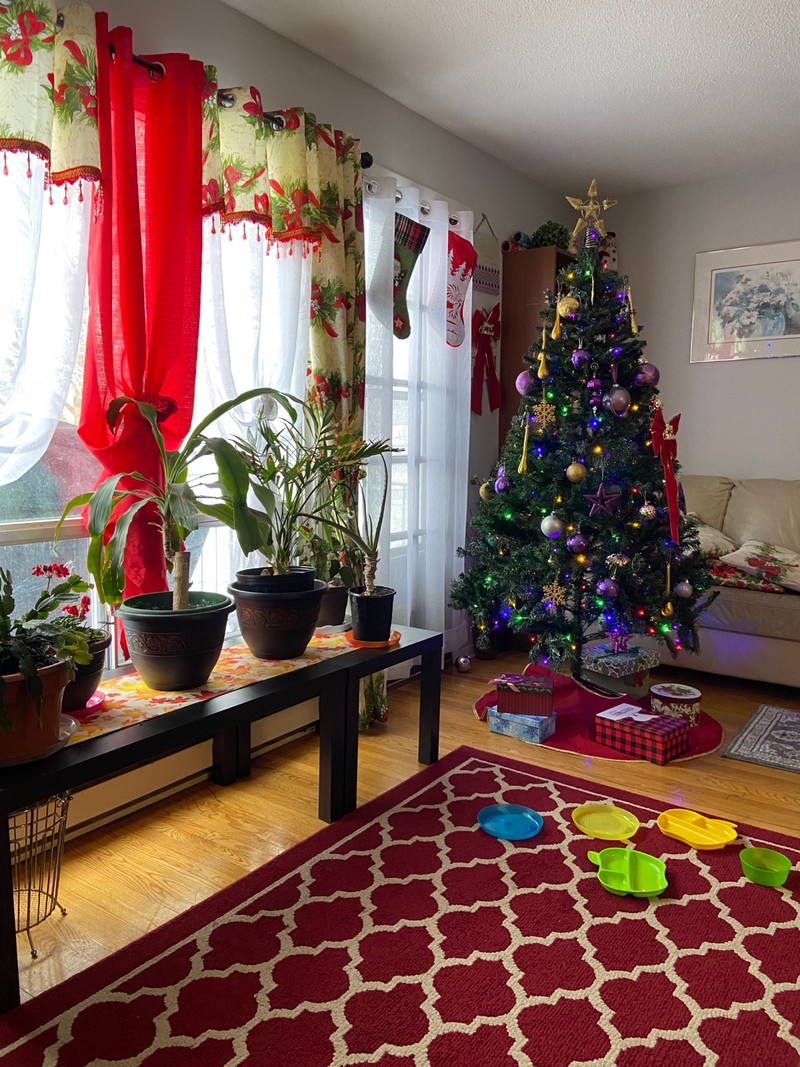 1bedroom available for rent ASAP Room Rentals & Roommates City of