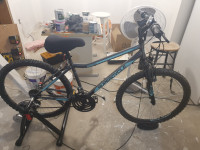 Bicycle with accessories for sale