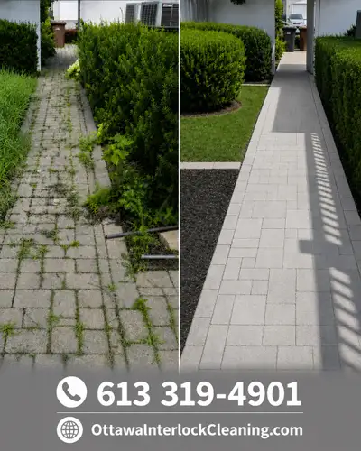 Professional Interlock Cleaning & Restoration, View more