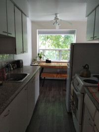 Room for rent in cute 2-bdrm close to downtown core & campus!