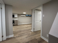RENT - LOWER LEVEL - BRAND NEW 2BED / 1 BATH