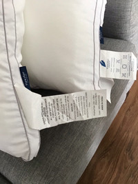 Two Pillows- like new
