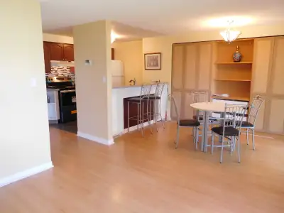 Black chairs-Amisco Custom made Iron base dining chairs, View more