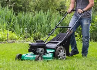 Evening/Weekend Yard Work and Handy Work, View more