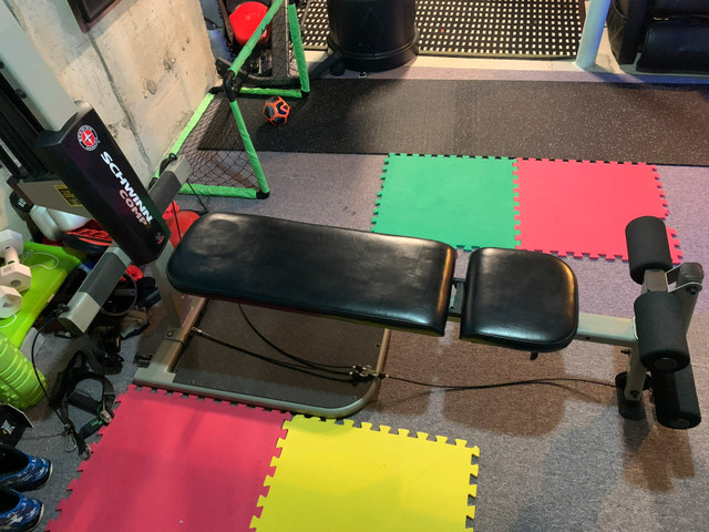 Bowflex powered Schwinn comp home gym fitness machine in Exercise Equipment in Markham / York Region - Image 3