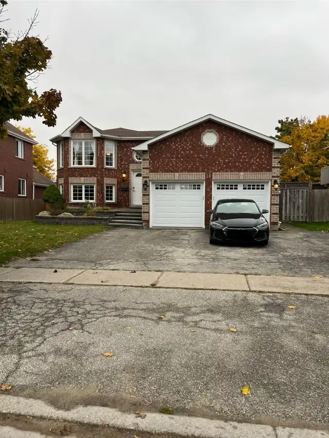 Unit Lower - 36 Douglas Dr, Barrie Grove East - Walk-out