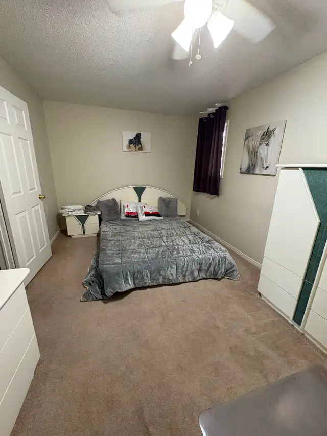 3 rooms rental - working Women/ ladies in Room Rentals & Roommates in Oshawa / Durham Region - Image 5