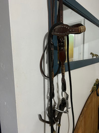 Western Horse bridle, bit and reins