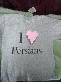 Persian Man T-shirt - child’s small/medium 6 – 8 year old $12.