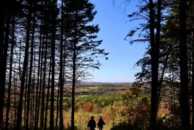 2,600 newer main building. 4 bedrooms. 3 bathrooms. Sunroom, living-room. 400 sq ft Yoga studio. 24...