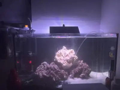 I currently have a fully equipped aquarium for both saltwater and freshwater fish, including a water...