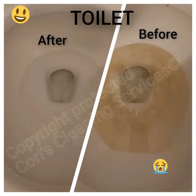 House Cleaner Available [residential]62863234604674124