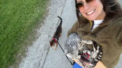 Friendly & Reliable Pet Sitting/Dog Walking – Southeast Oakville, View more